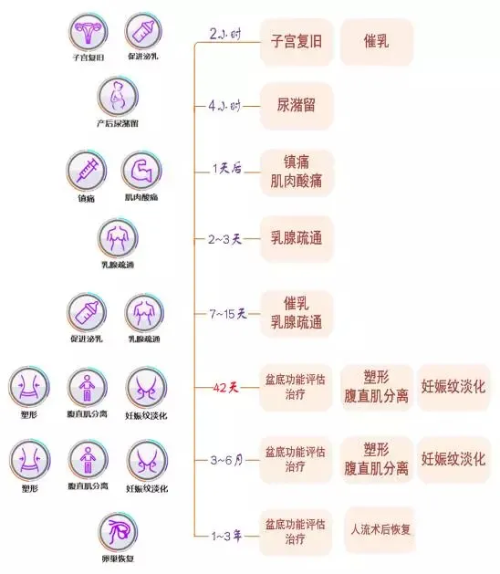 產(chǎn)后康復(fù)最佳時機，珍藏！